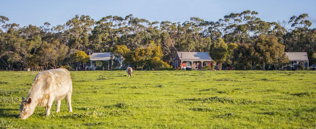 טורקי Freshwater Creek Cottages & Farm Stay מראה חיצוני תמונה